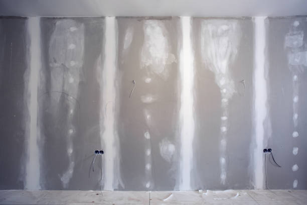 Best Environmental Consulting for Mold Prevention  in Hayfork, CA